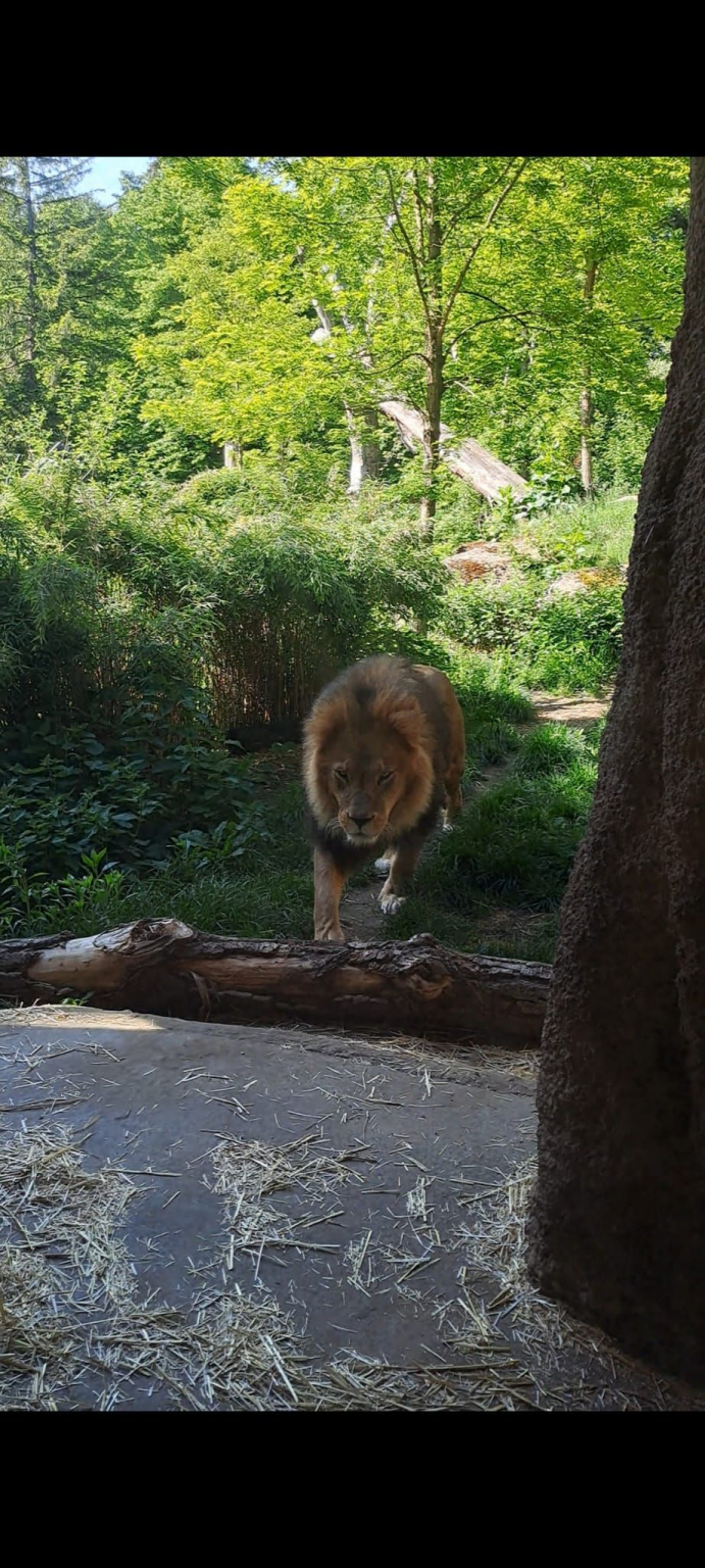 Tierpark_2
