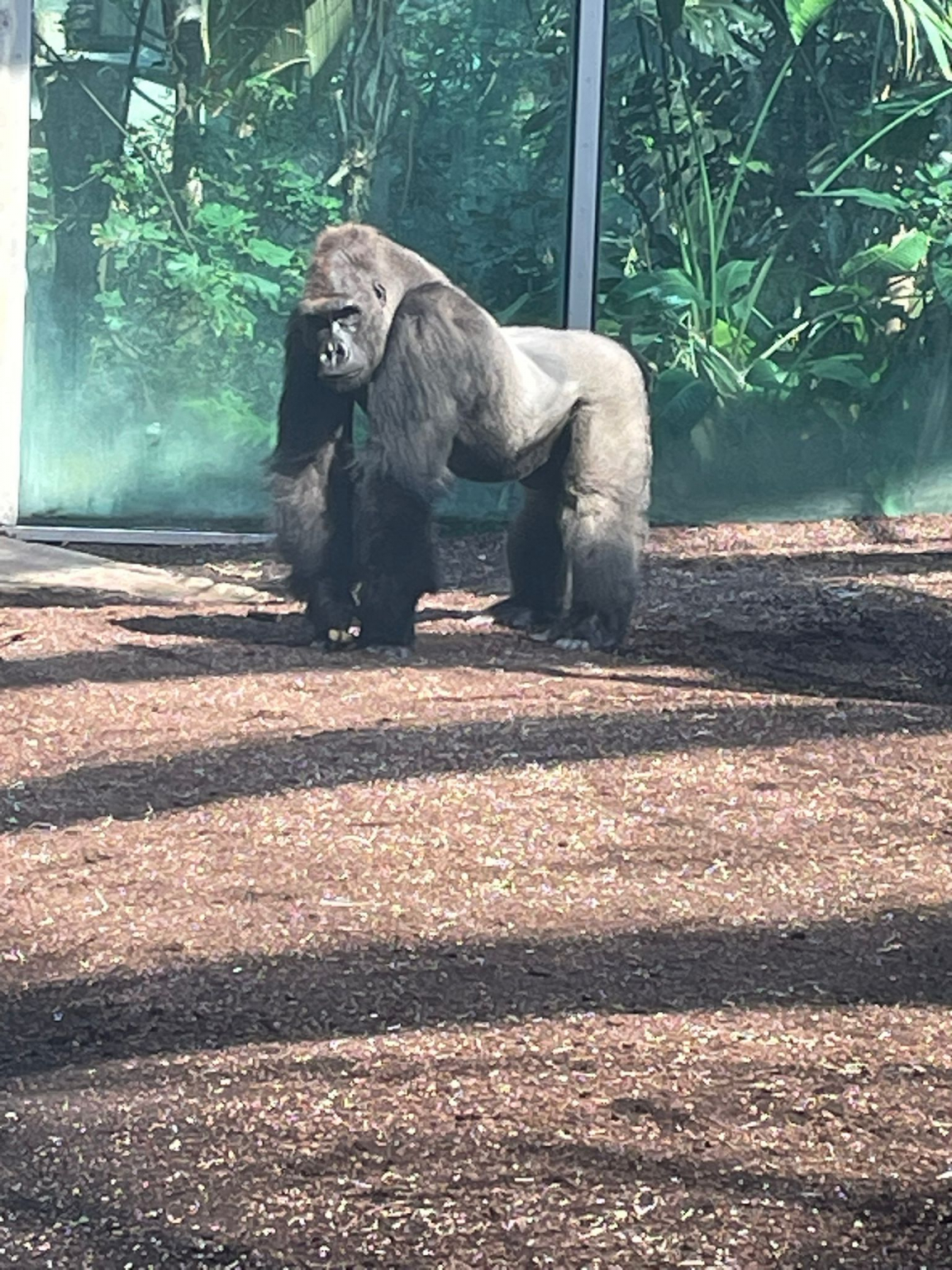 Tierpark_3