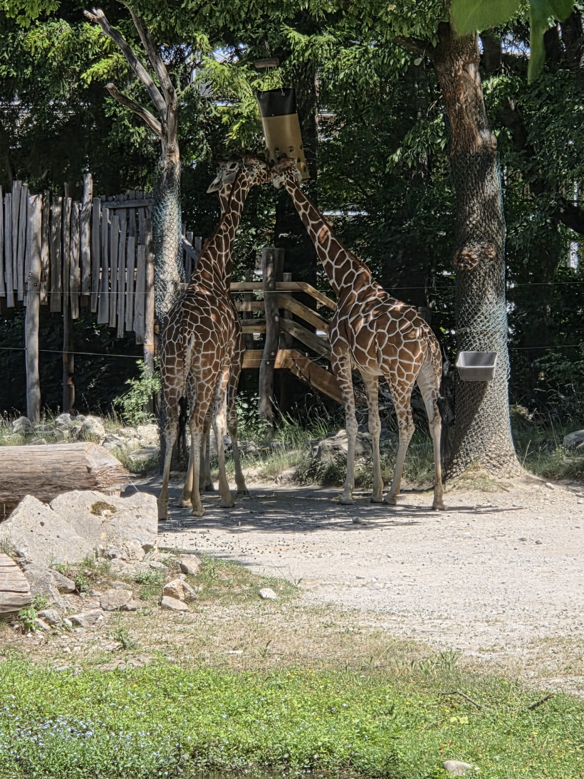 Tierpark_3
