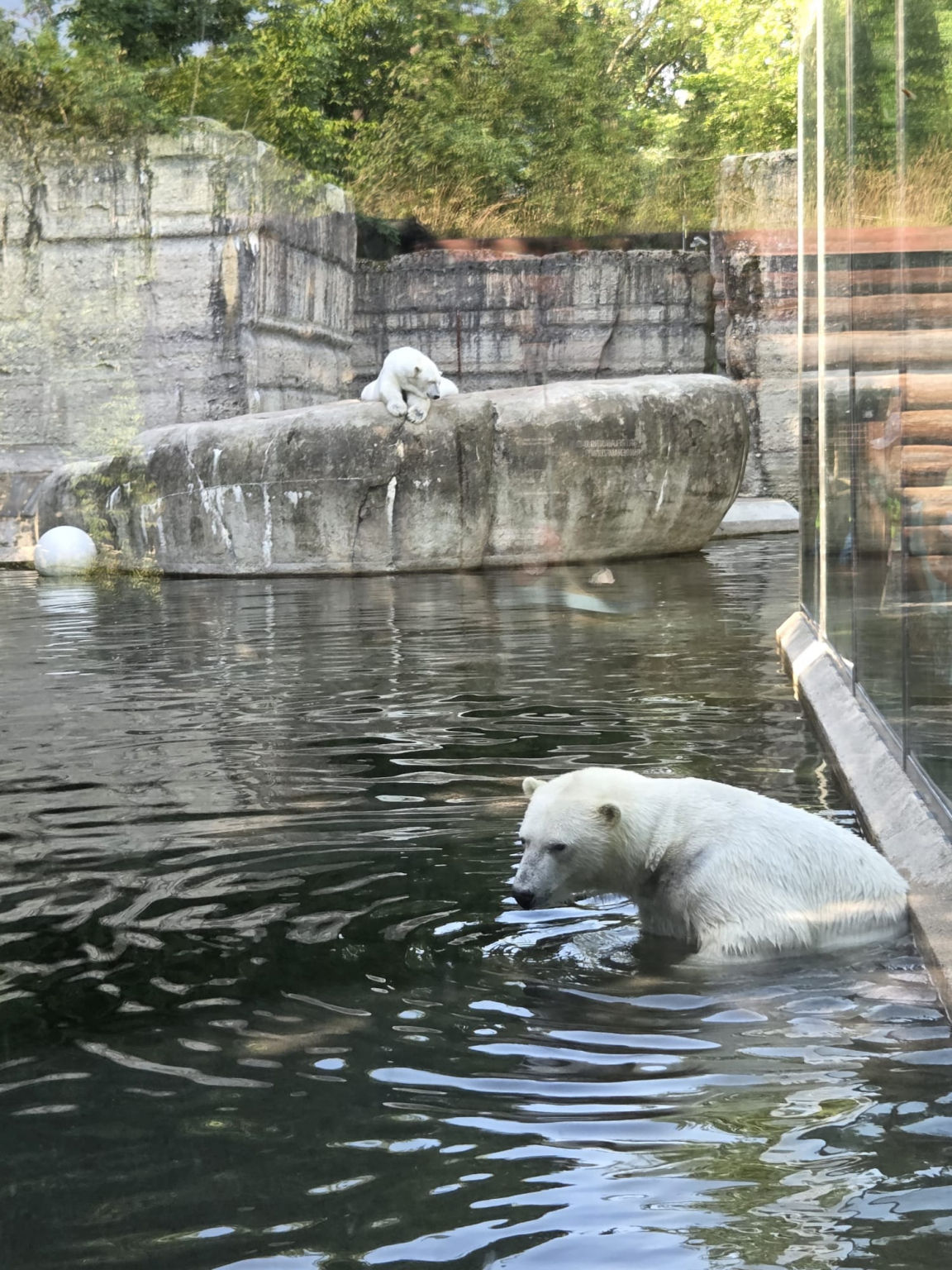 Tierpark_5