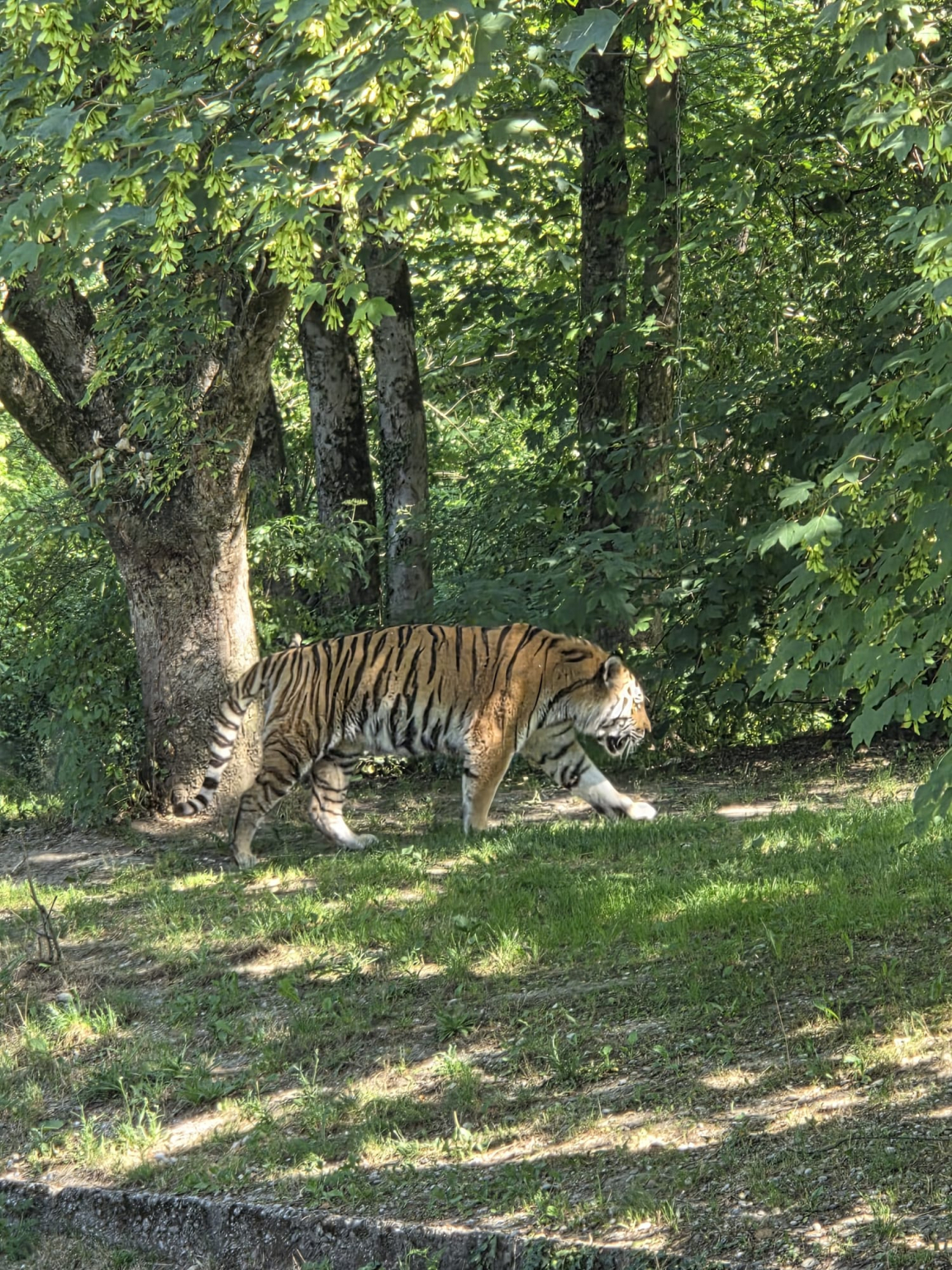 Tierpark_7